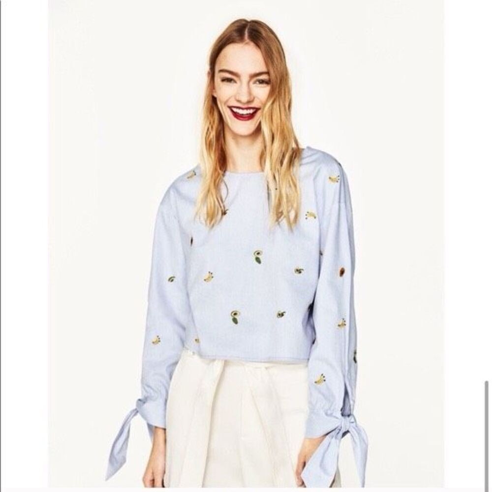 Zara Fruit Embroidered Scoop Neck Long Sleeve Top Large Blue Open Back Vacation